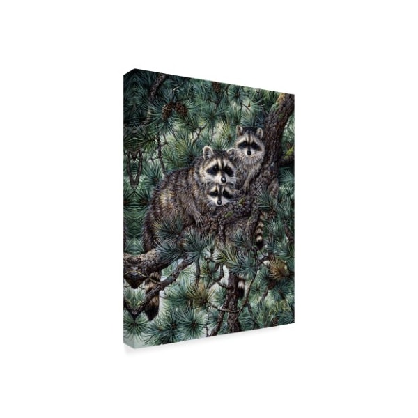 Jeff Tift 'Racoons' Canvas Art,18x24